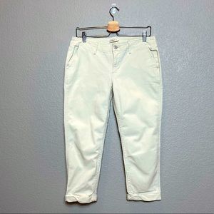 +L E V I+ khaki pant